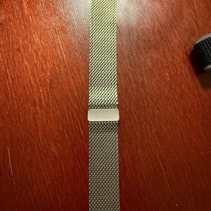 Apple 49mm Titanium Milanese Loop